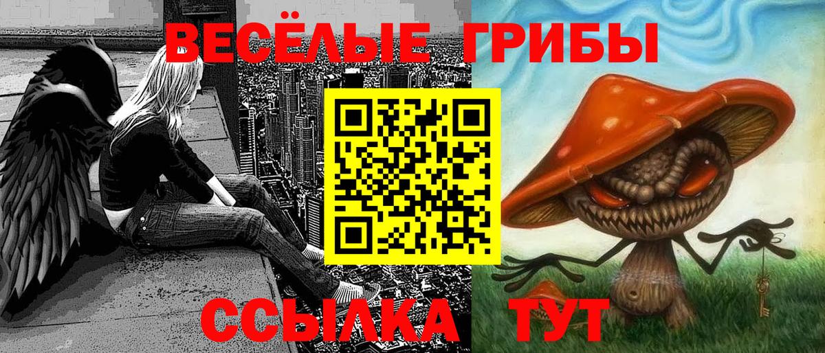 Галлюциногенные грибы MAGIC MUSHROOMS  Вход с VPN  Владимир 