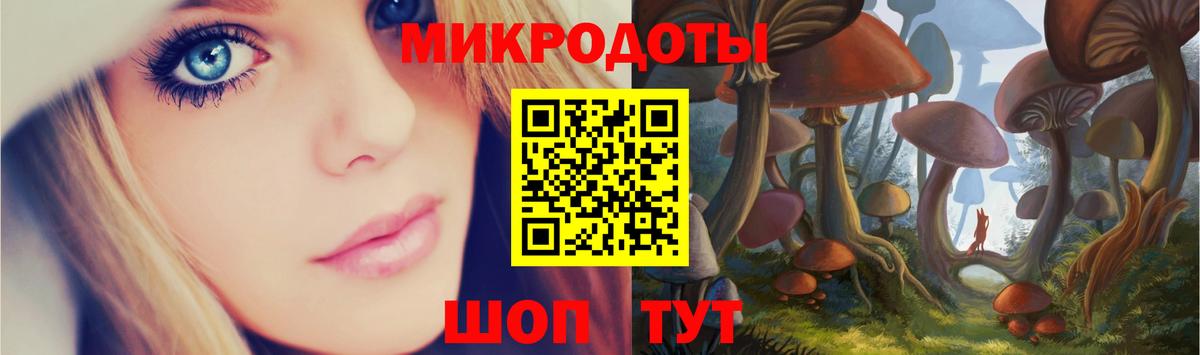 Псилоцибиновые грибы мицелий Владимир