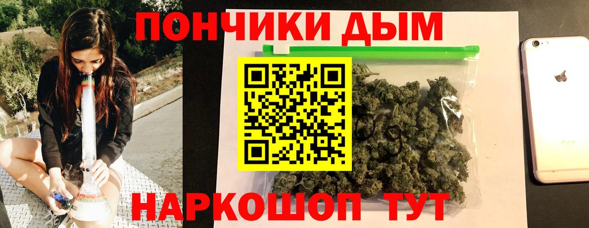 Канабис ГИДРОПОН Владимир